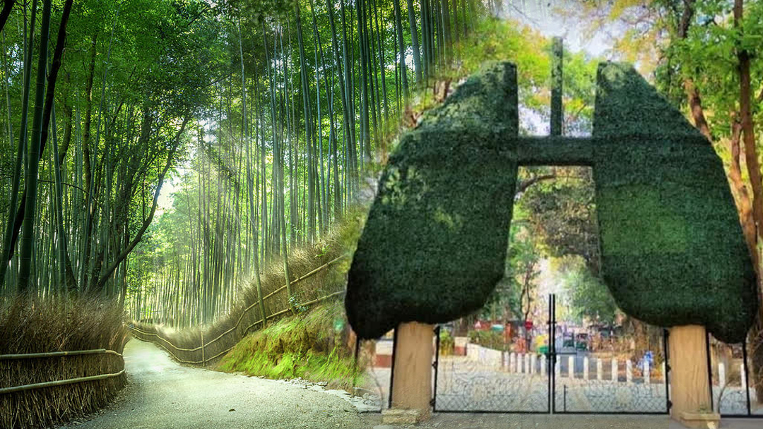 पर्यावरण शुद्धि का महत्व